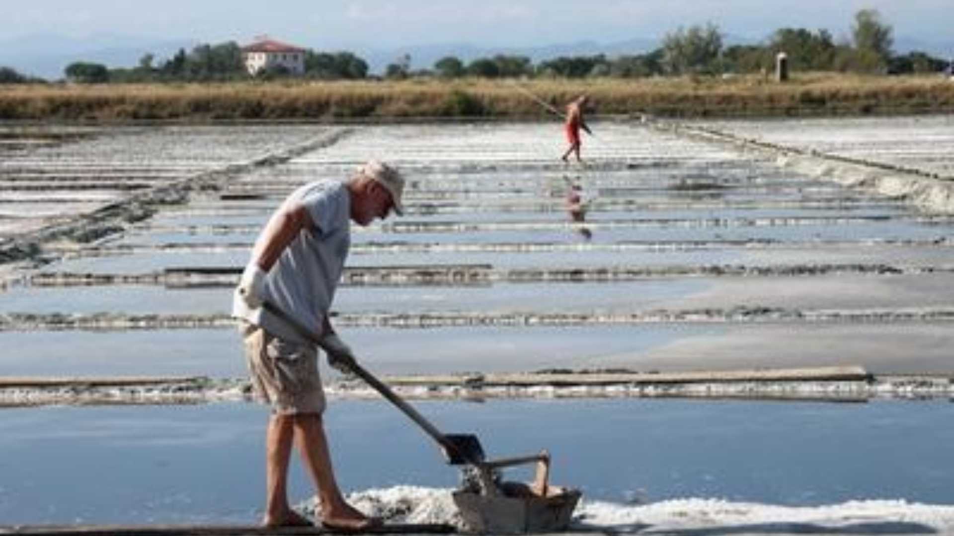 Shovel, Rake and Wheelbarrow: Cervia’s “sweet salt” is still made as it was in the 18th century