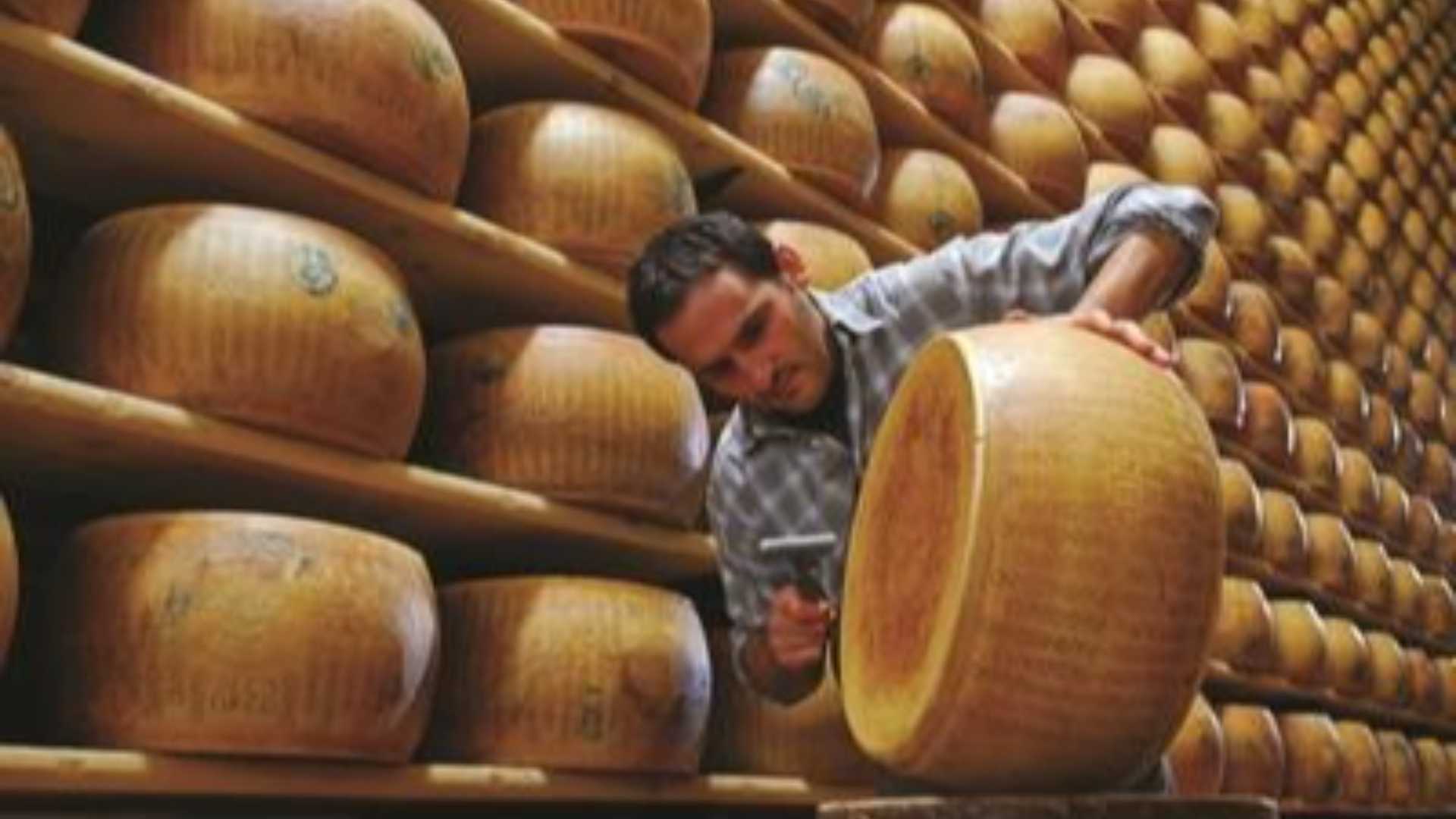 Parmigiano Reggiano at a Historic Turning Point: Exports Surpass the Italian Market