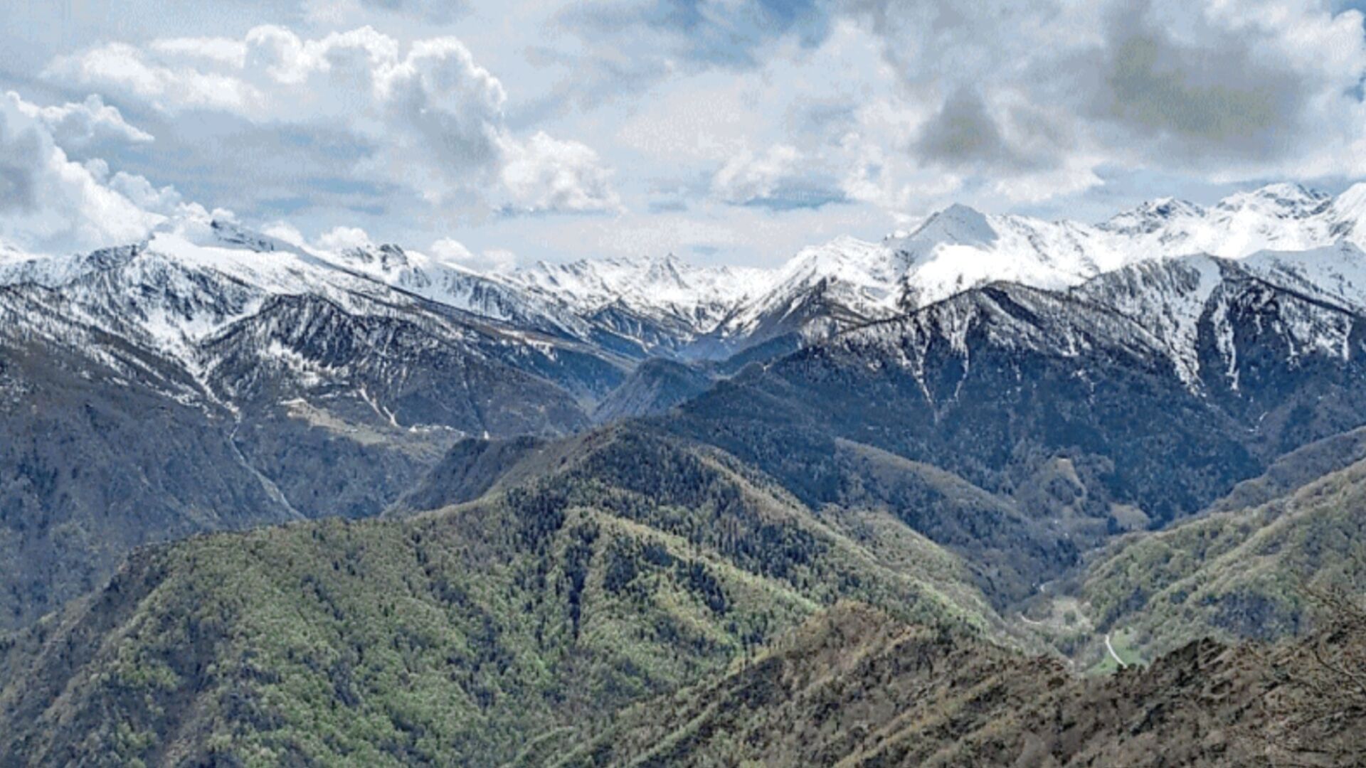 The “Grandmother” of the Alps: A Geological Discovery Rewrites the Age of the Mountains
