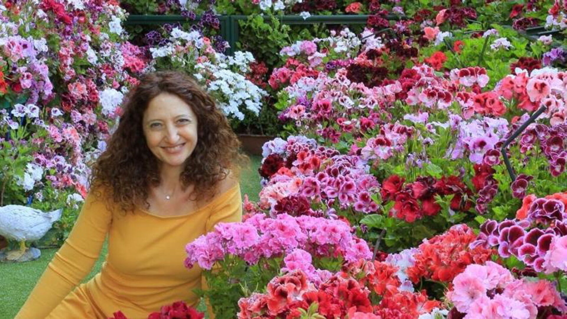Turin Geranium Enthusiast Fears for Her Rare Plants After Record Heat